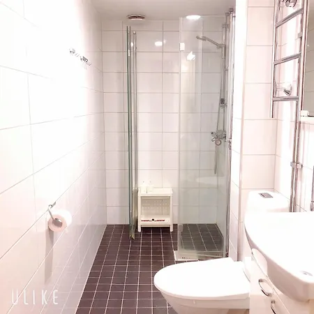 Apartment Uman City Studio Flemingsgatan *